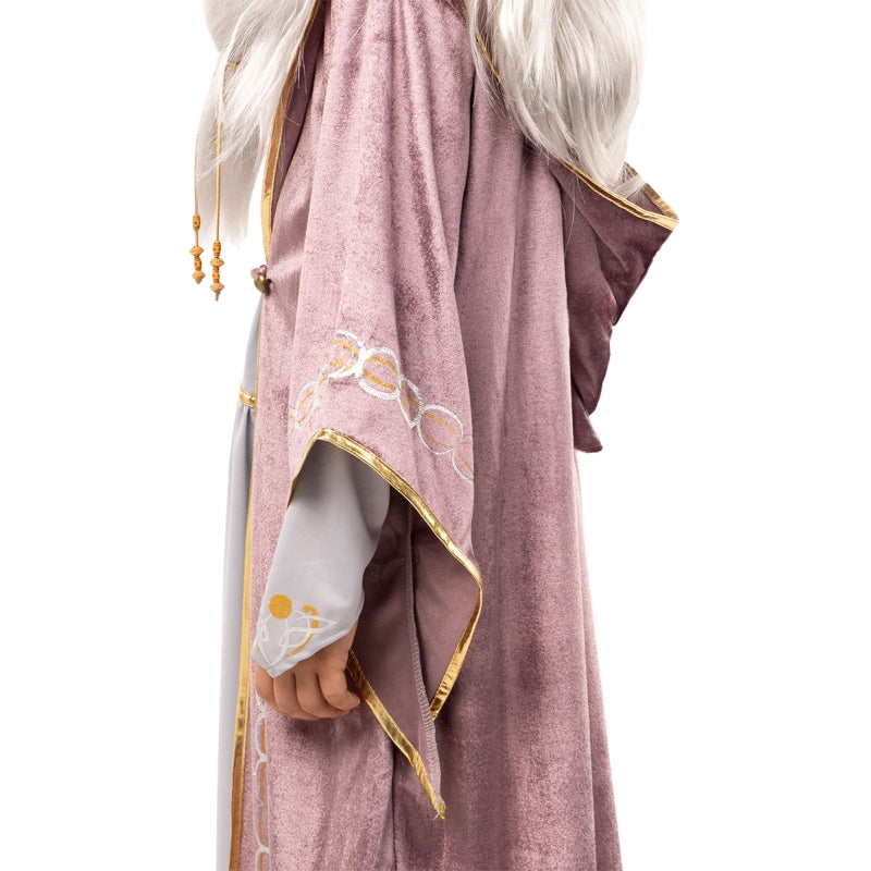 Disfraz de Dumbledore Harry Potter para niño Detalle Bis