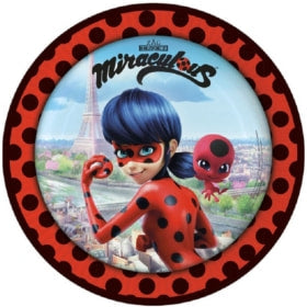 Ladybug Geburtstagsfeier