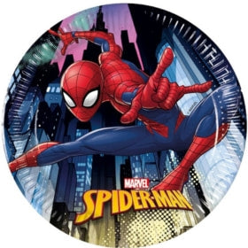 Spiderman Geburtstagsfeier
