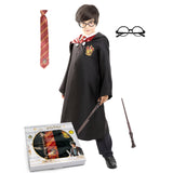 Disfraz de Harry Potter con Accesorios infantil