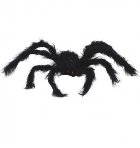 Schwarze Spinne 50 cm für halloween