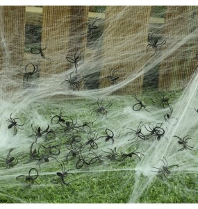 Tasche 50 Spinnen für halloween
