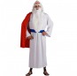 Druide Asterix Kostüm für Herren