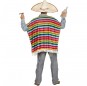 Mexikanischer Poncho mehrfarbig Kostüm für Herren hinteres